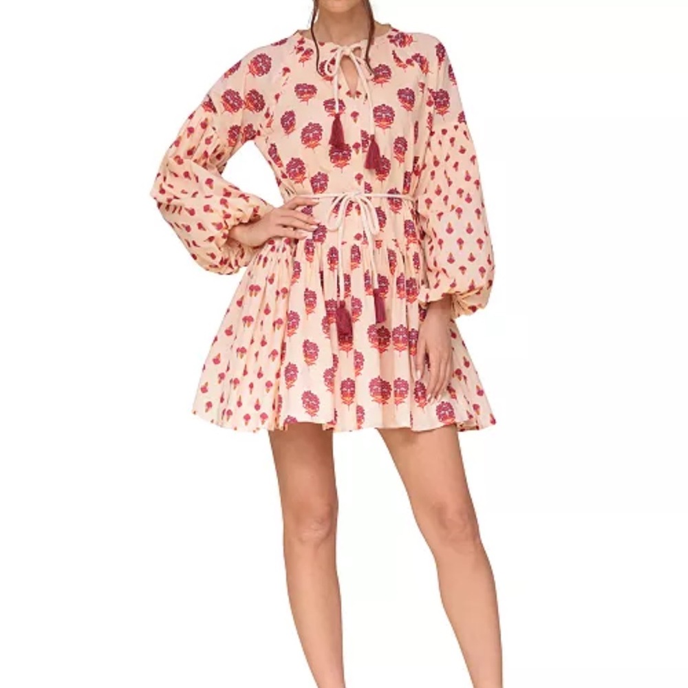 NWT Pink Floral Long Sleeve Dress